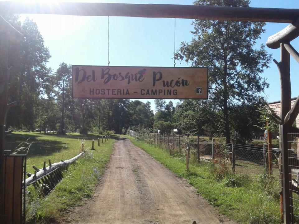 Hosteria Y Camping Del Bosque Pucón Kültér fotó