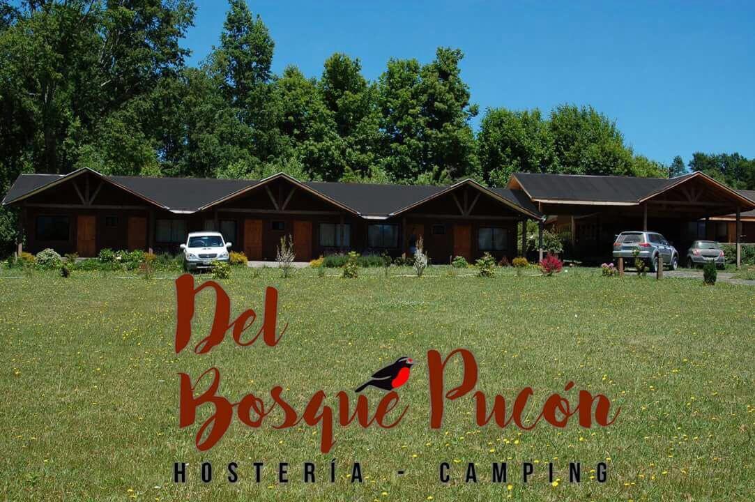 Hosteria Y Camping Del Bosque Pucón Kültér fotó