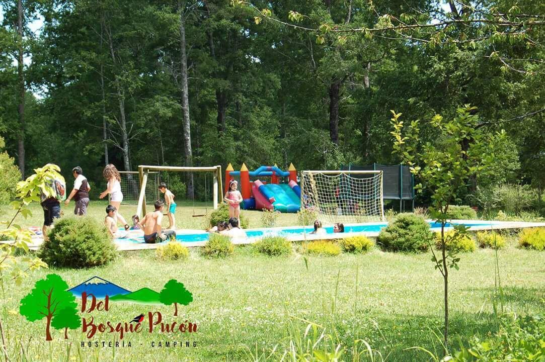 Hosteria Y Camping Del Bosque Pucón Kültér fotó