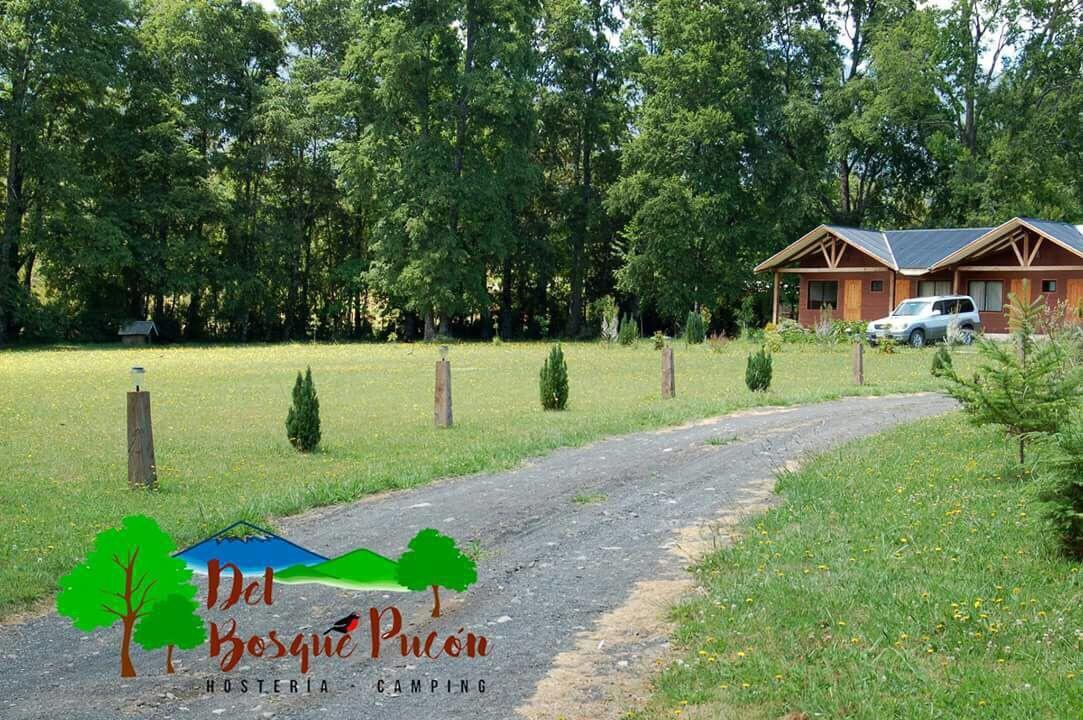 Hosteria Y Camping Del Bosque Pucón Kültér fotó